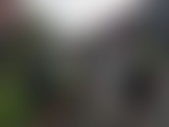 B2 naar Temse Steendorp (‘De rit van Gerard’)