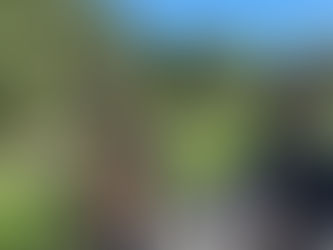 B2 geniet van de nazomer