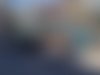 B1 - vliegensvlug naar Hulst !