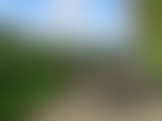 A - Gejaagd door de wind naar Hengstdijk