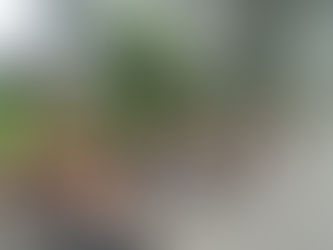 A- St-Goriks-Oudenhove - 90 km vlammen !