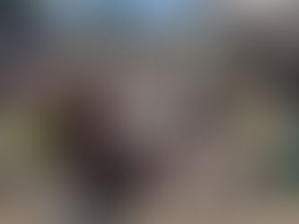 De C's - hindernissenparcours én hilarisch : Odilon krijgt een schoteldoek naar zijn hoofd ! :-)