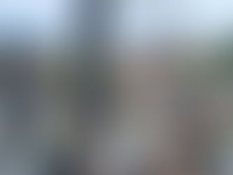 B2 naar Zuiddorpe Koewacht