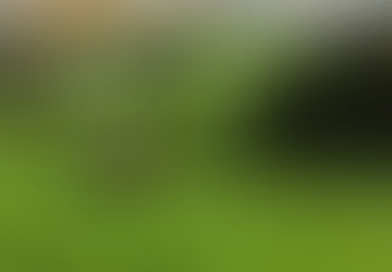 B1 in het Pajottenland