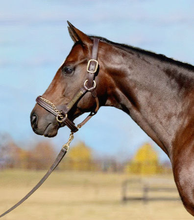 Smooth Like Strait Final Conformation_edited_edited.jpg