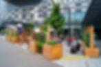 Foto-12.jpg
