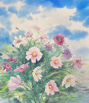 秋桜.jpeg