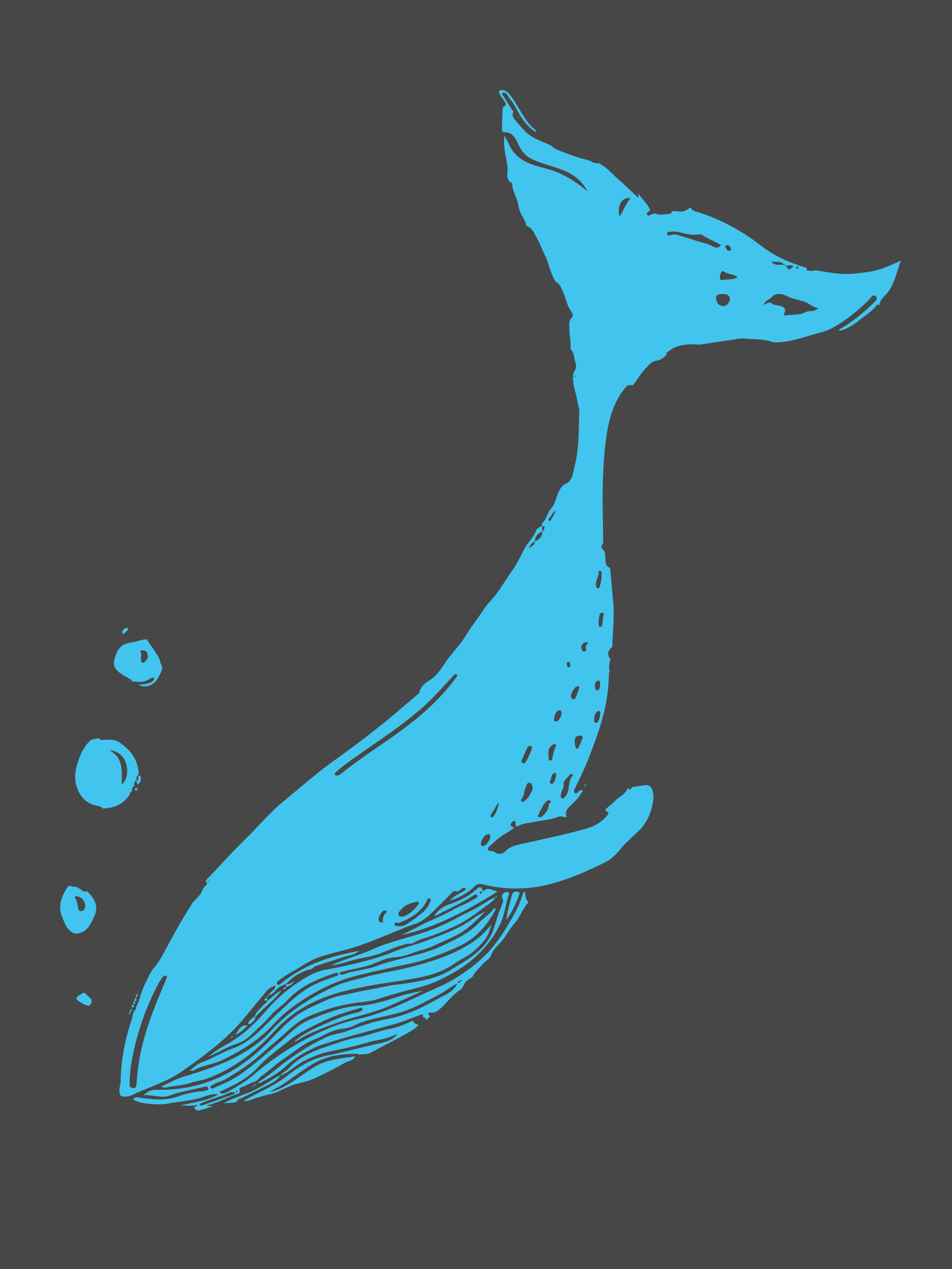Blue Whale