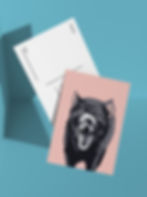 A postcard front and back view with the design of a tasmanian devil on it