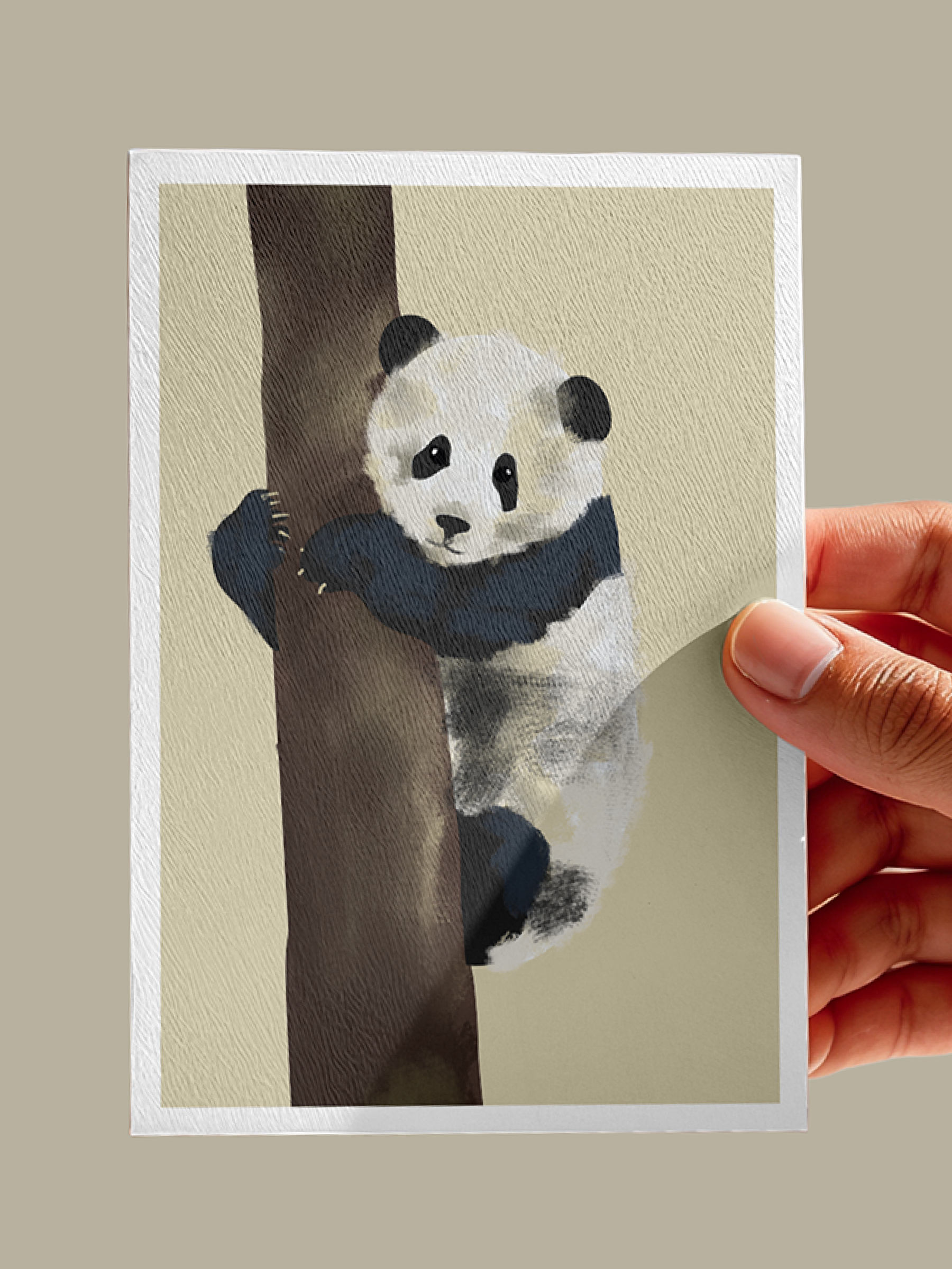 Giant Panda Postcard