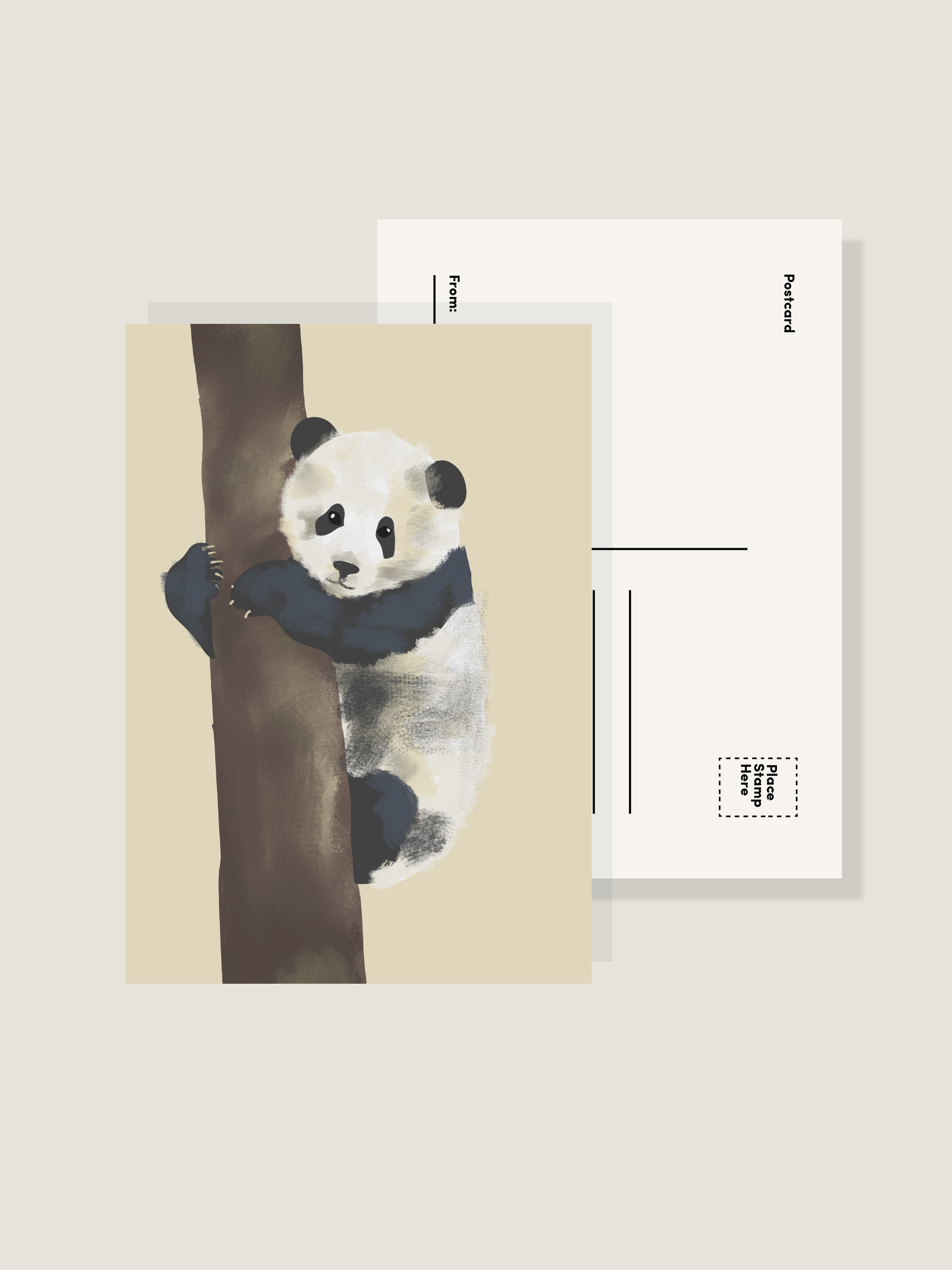 A postcard front and back view with the illustration of a Giant Panda on it