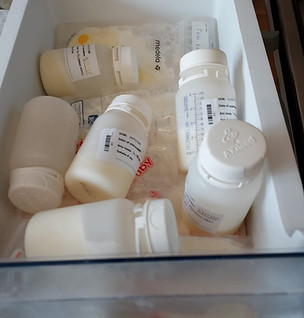 65d2a41c-94c7-4aac-b3c3-a0ac53c3a996_edi