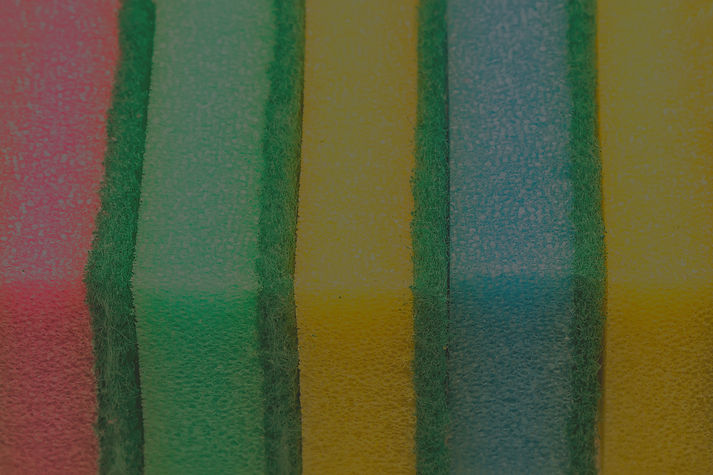 Sponges_edited.jpg