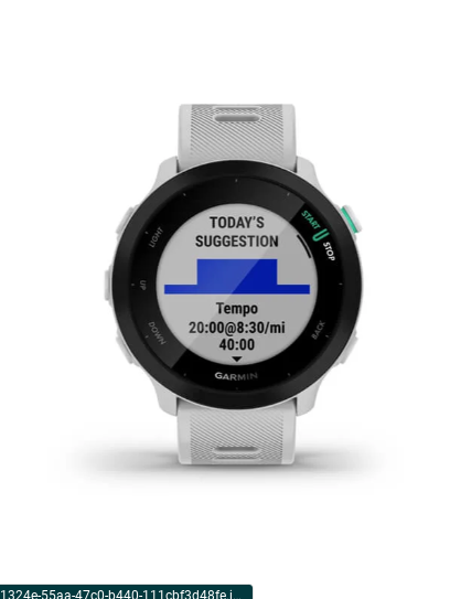Miniature : Forerunner® 55 ( Garmin)