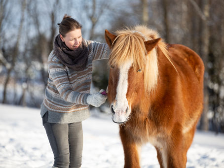 Hevosentuoksuisia talvipäiviä Muuramessa