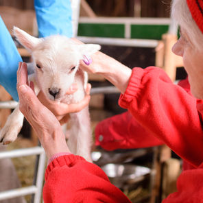 Lähellä luontoa -ryhmä