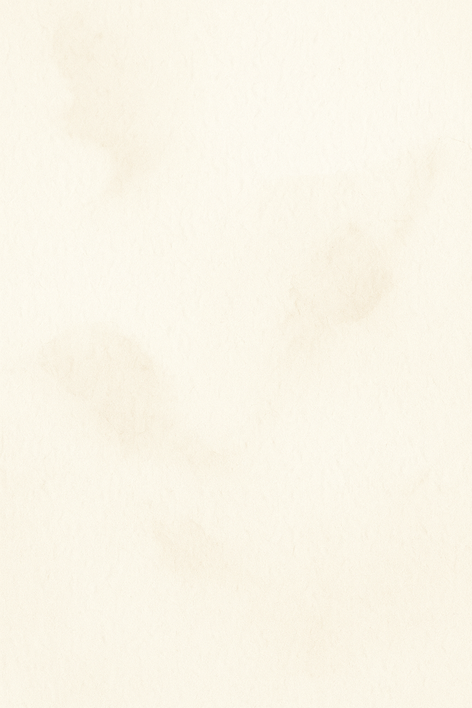 ChatGPT Image 19 de jun. de 2025, 10_40_53.png