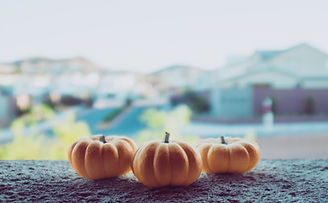 Three Autumn Pumpkins