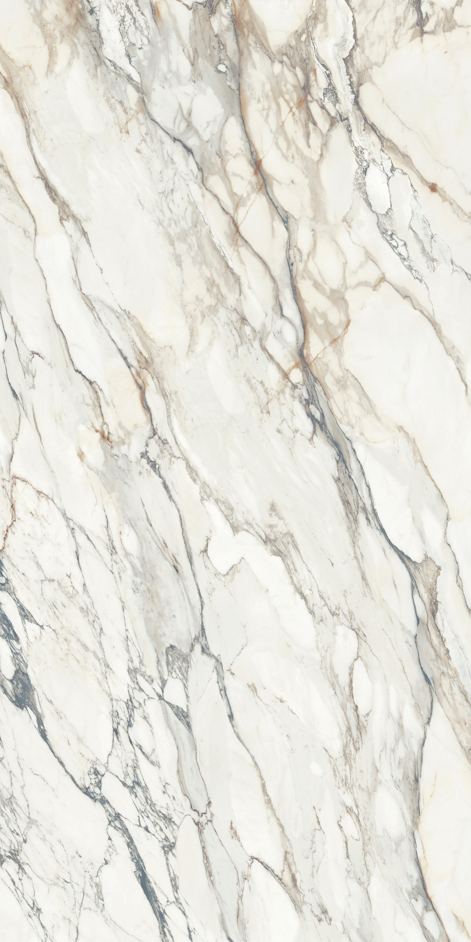 Calacatta Danica Porcelain