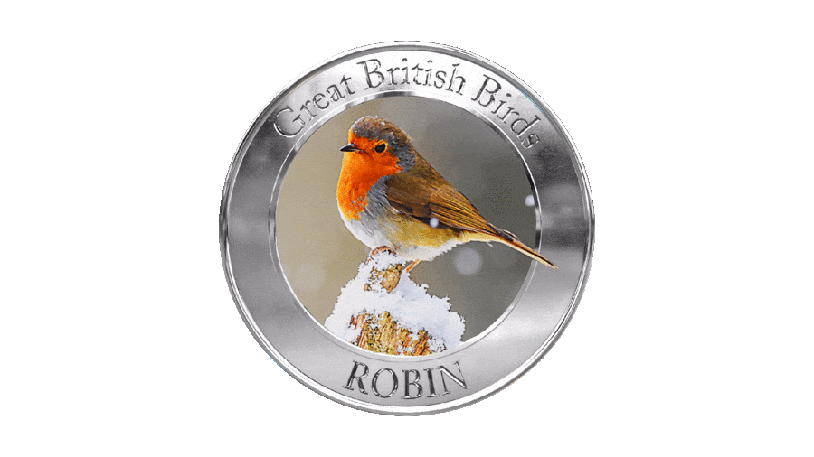 A Pretty Christmas Robin available from just £9.99
