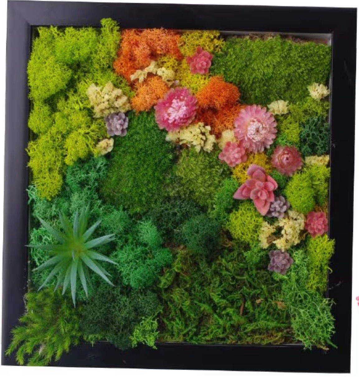 Moss, Floral and Driftwood Framed Art Workshop