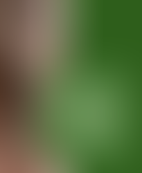 Des questions? Consultez le Chat