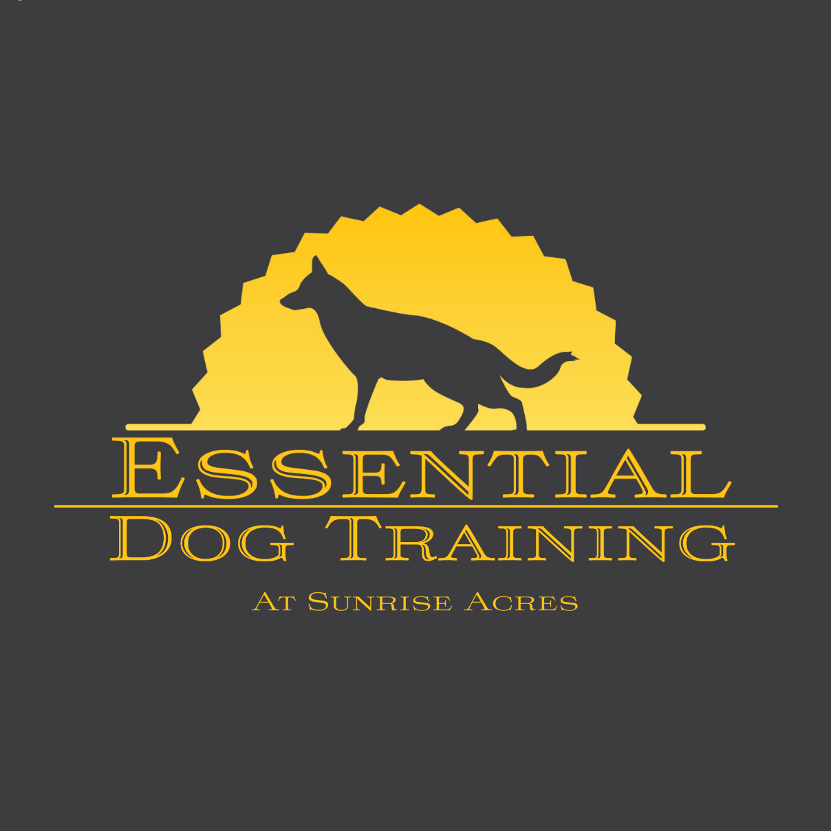 Essential Dog Training Lacey Township NJ essential-dog-training-lacey-township-nj