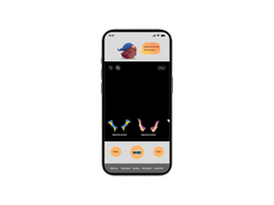 Camera Filter Screen