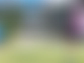 Treinando a percepção visual utilizando Visionup