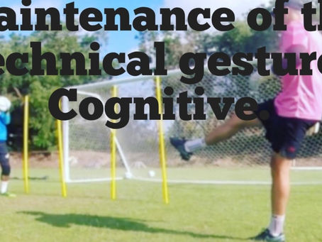 Treinando a percepção visual utilizando Visionup