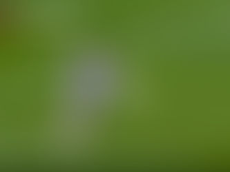 GOLEIRO - ARMA PODEROSA PARA CONTRA-ATACAR