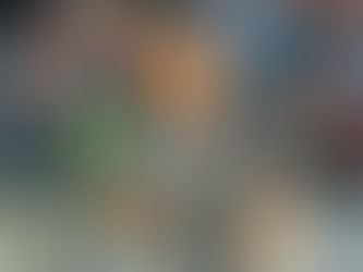 OS 10 GOLEIROS COM MAIS JOGOS SEM GOLS NOS PONTOS CORRIDOS