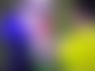 Com a bola rolando, Buffon dá autógrafo a torcedor