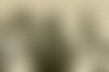 Barbosa, o Goleiro que foi MUITO MAIS que o “gol de Ghiggia”