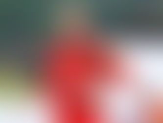 Goleiro da “Furia Roja” é denunciado por ligação com a máfia