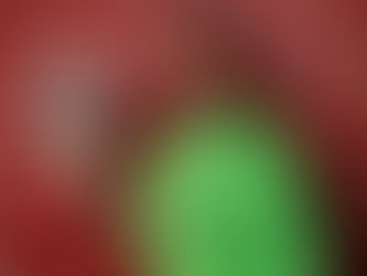 ALISSON RENOVA POR SEIS TEMPORADAS COM LIVERPOOL