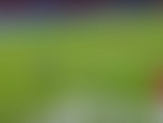 A Copa América e o pedido de pênalti por mão… DO GOLEIRO(?) [VÍDEO]