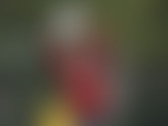 Após sua última convocação, Fábio viu 20 Goleiros diferentes na Seleção