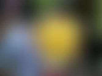 Fez o DVD? Após parar Seleção, Lampe se torna alvo de clubes europeus