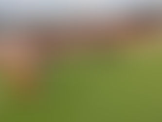 Treinamento Global: Situação de jogo