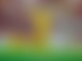 JORNAL ANTECIPA SAÍDA DE DIEGO ALVES PARA EUROPA