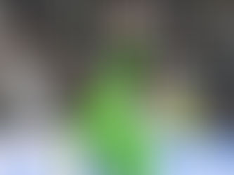 1,73. Dois pênaltis defendidos e classificação.