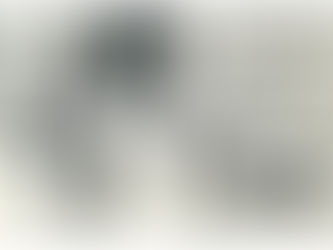 Quem é o “Melhor Goleiro” que já foi campeão com o Flamengo? Gilmar e Raul opinam