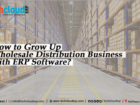 ERP Software for Wholesale Distribution