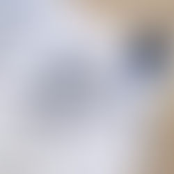 Brush Lettering Workshop