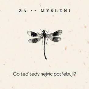 Selfcoaching otázky - když jsme unavení a máme chuť vše vzdát