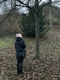 Alumni a společná vánoční cesta přírodou