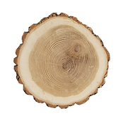 Isolated slice of tree on white background_edited.png