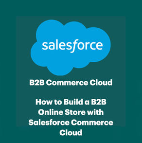 8 steps to set up your Salesforce B2B Commerce Cloud store
