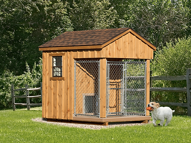 Small white dog runs with ball near wooden dog house and kennel.
